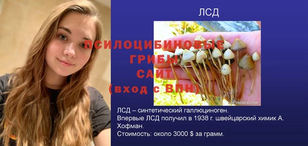 ГАЛЛЮЦИНОГЕННЫЕ ГРИБЫ Абдулино